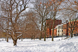 Fototapeta Paryż - Boston Winter..