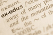 Dictionary definition of word exodus