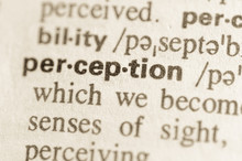 Dictionary Definition Of Word Perception