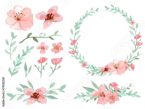 Set of flowers and leaves vector