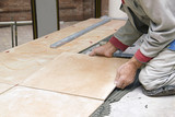 Fototapeta  - Home improvement, renovation - handyman laying tile with level