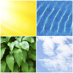 Wall Mural - Water, plant, sky and sun in collage, nature components concept