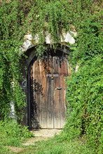 Old Wooden Cellar Door