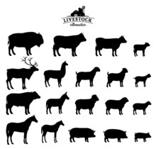 Vector Livestock Silhouettes Isolated On White