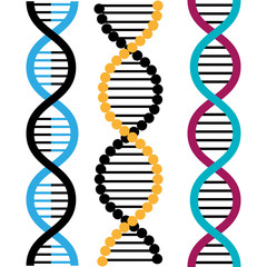 Wall Mural - DNA design, vector illustration.