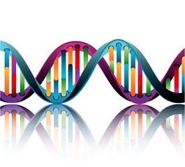 Poster - DNA design, vector illustration.