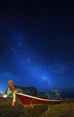 Wall Mural - night tropical landscape. thailand