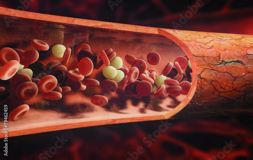 Obraz w ramie blood cells flowing through a vein