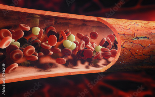 Naklejka na szybę blood cells flowing through a vein