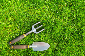 Wall Mural - Gardening tools on green grass.