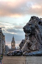 Lion Trafalgar Square