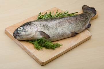 Raw fresh trout