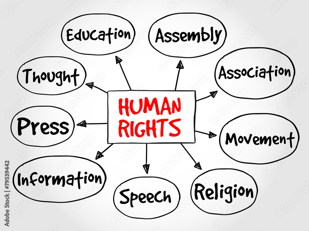 Human rights mind map, hand drawn concept Stock Vector | Adobe Stock