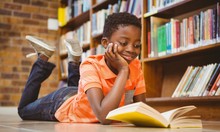 Boy Reading A Book Free Stock Photo Public Domain Pictures
