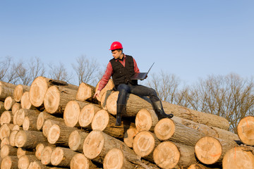 Wall Mural - Lumber engineer