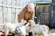 woman takes care of the little goats
