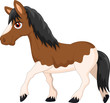 Cartoon pony horse