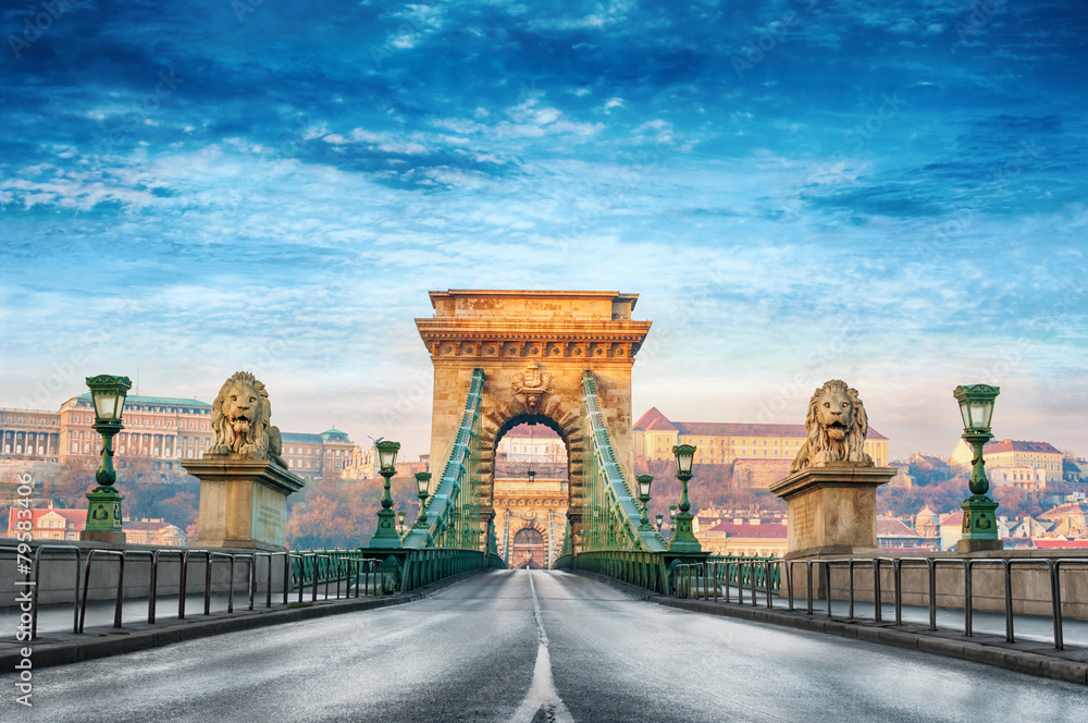 Chain bridge Budapest Hungary - obrazy, fototapety, plakaty 