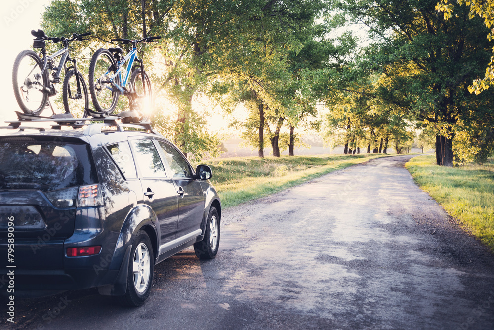 Car with bicycles in the forest road - obrazy, fototapety, plakaty 