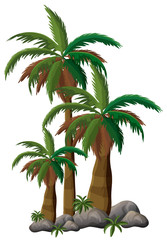 Wall Mural - Palm trees