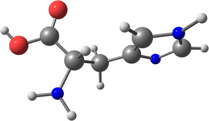 Canvas Print - Histidine acid molecule isolated on white