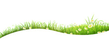 Summer Banner With Green Grass And Flowers