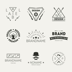 Retro Vintage Insignias or Logotypes set. Vector design