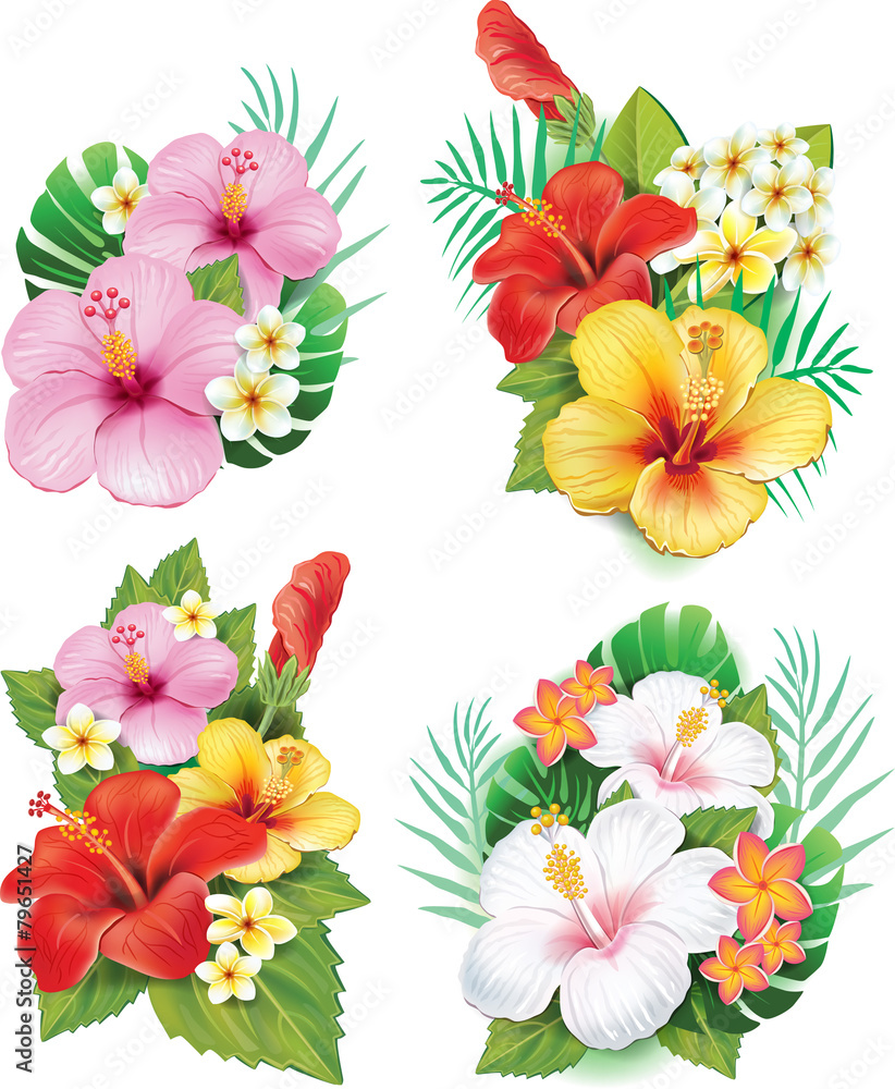 Arrangement from hibiscus flowers - obrazy, fototapety, plakaty 