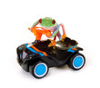 Rotaugenlaubfrosch auf Spielzeugauto