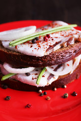 Wall Mural - Sandwiches with lard and onion on plate on table close up