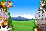 Fototapeta Pokój dzieciecy - funny animal cartoon collection in the jungle