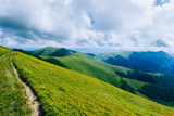 Fototapeta Krajobraz - Green mountains. Mountain travel
