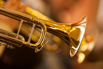 Wall Mural - Fragment trumpet closeup