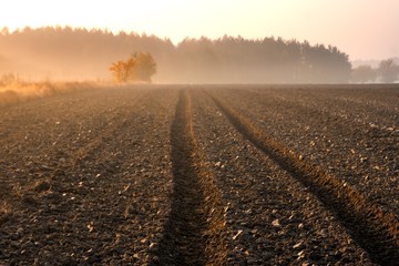 Poster - Plowed field landscape