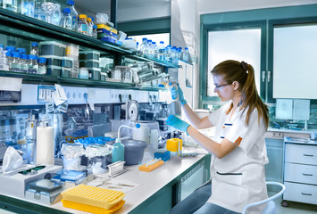 young scientist works in modern laboratory