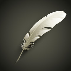 Feather. Vector illustration