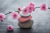 Fototapeta Kwiaty - fleurs zen
