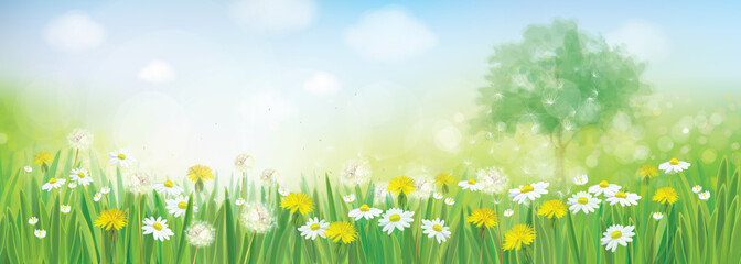 Wall Mural - vector spring landscape.