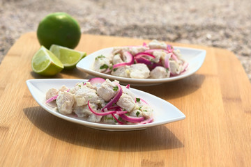 Poster - peruvian ceviche (fish, onion, coriander in lime juice)