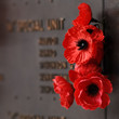 Red poppy to honour veterans in the World War