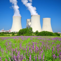 Wall Mural - Nuclear power plant Temelin in Czech Republic, Europe