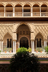 Fototapete - Real Alcazar de Sevilla. Patio de las Doncellas, Spain