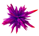 Fototapeta Kwiaty - gradient abstract form- red