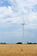 a wind farm in the wide spread field