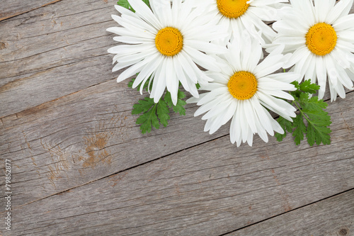 Naklejka na szybę Daisy camomile flowers on wooden table