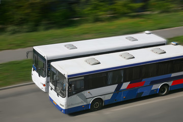 Canvas Print - two buses go on city street