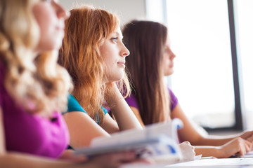 Wall Mural - Students in a classroom during class