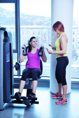 Wall Mural - woman exercising with her personal trainer