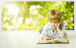 © inarik - Young Child Boy Reading Book, Children Early Development