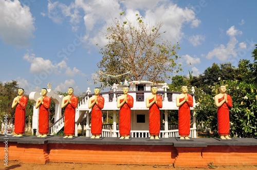 Fotografie, Obraz Buddhist Disciple statues at a temple in Sri Lanka